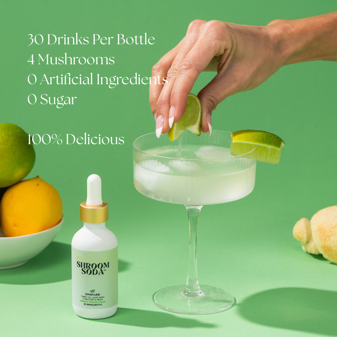 Ananda Shroom Soda Concentrate