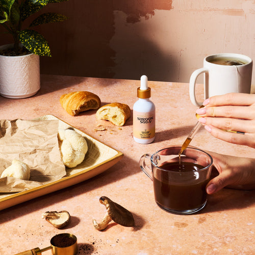 Ananda Shroom Soda Concentrate