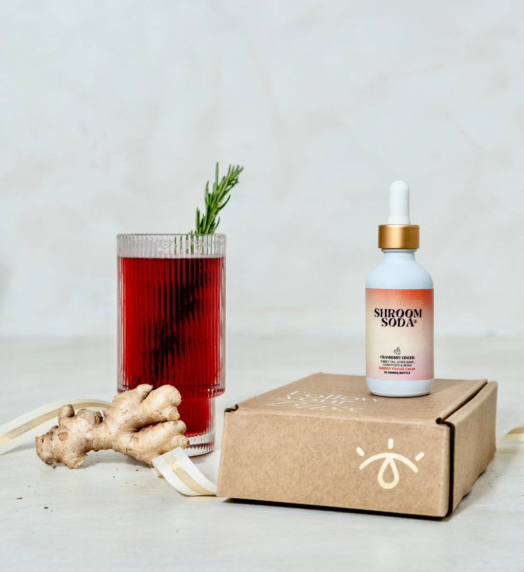 Ananda Shroom Soda Concentrate