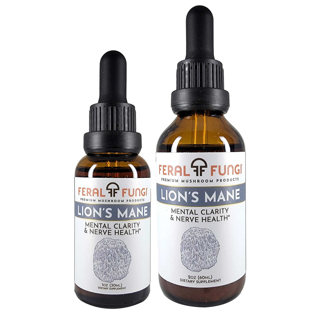 Feral Fungi Lion’s Mane Spagyric Tincture