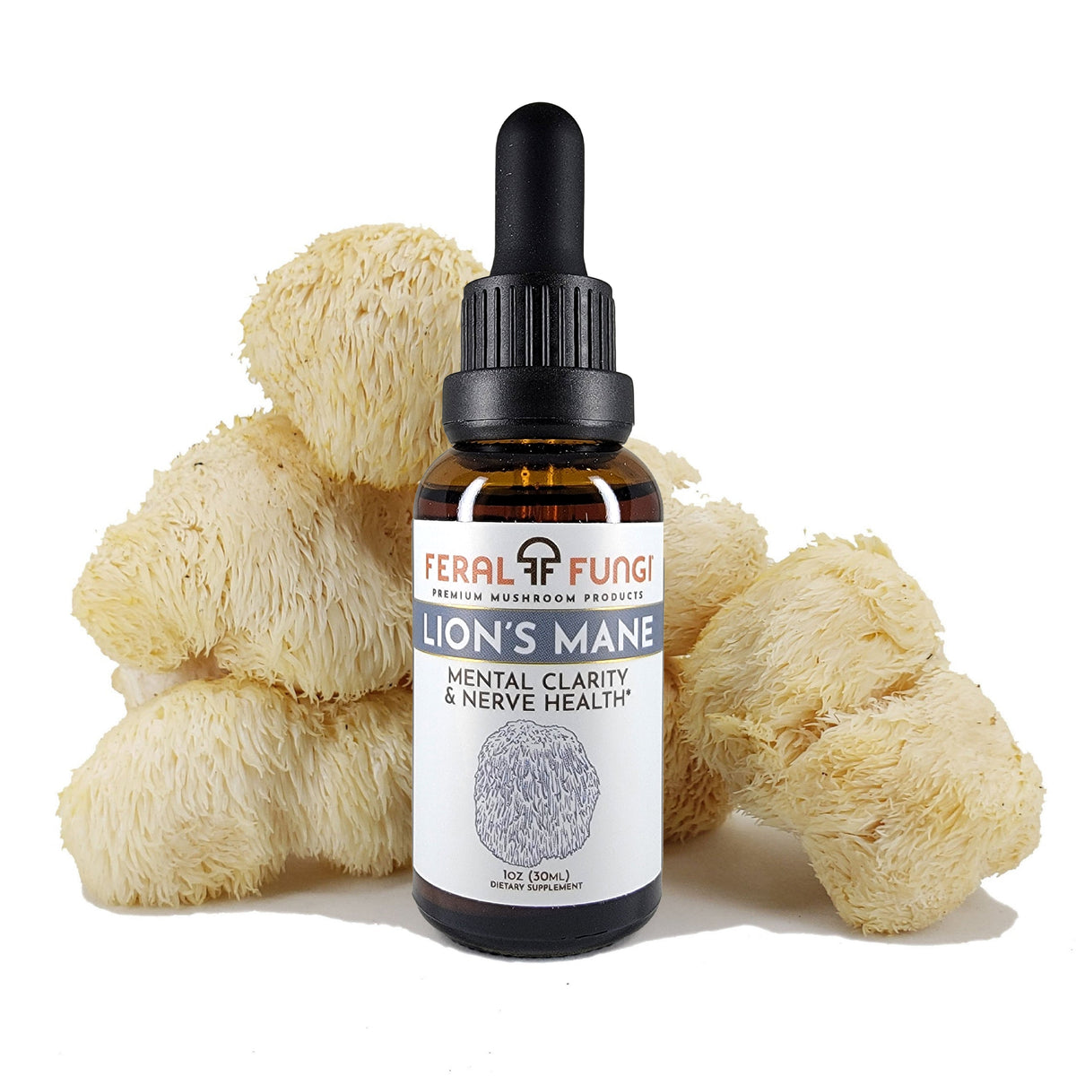 Feral Fungi Lion’s Mane Spagyric Tincture