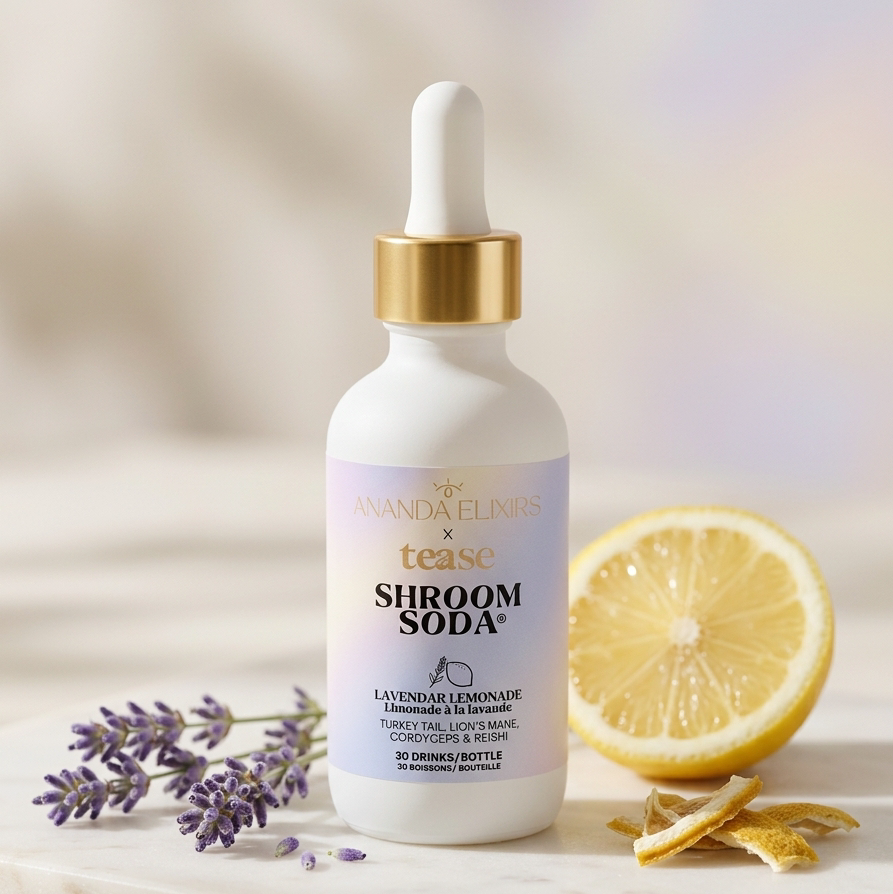 Ananda Shroom Soda Concentrate