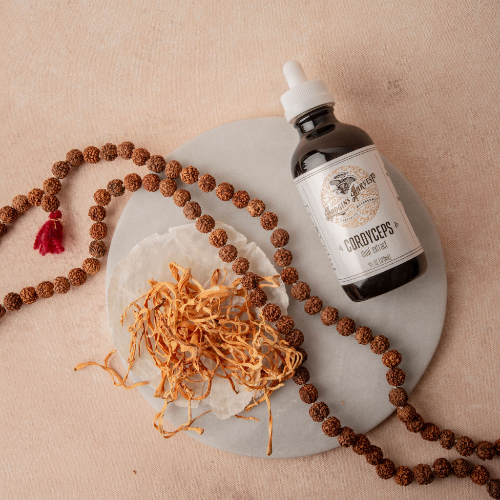 Hodgins Harvest Cordyceps Dual Extract Tincture