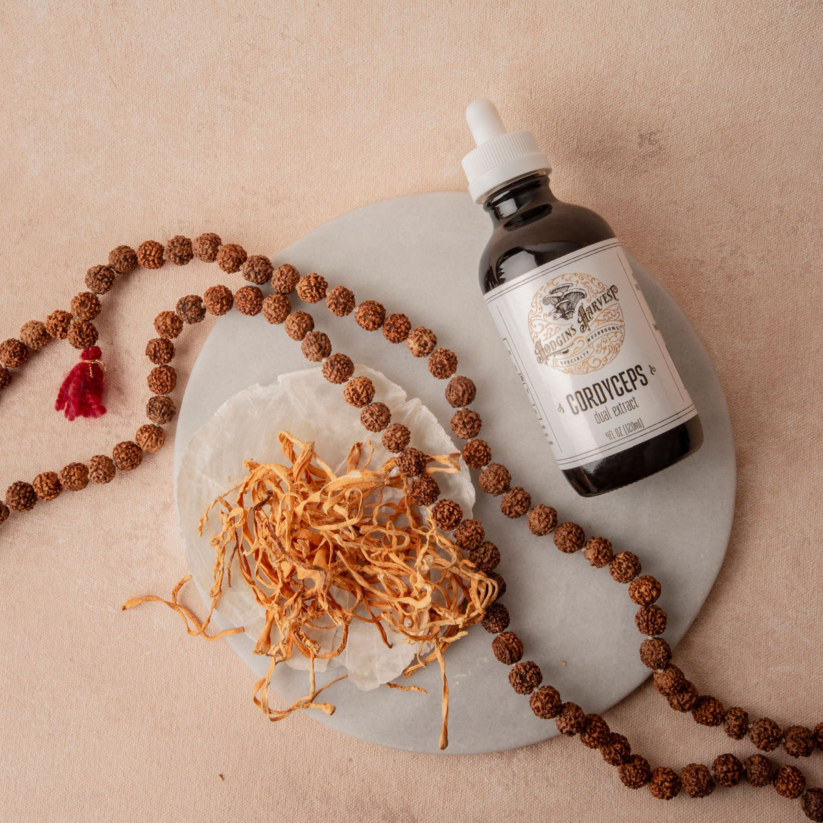 Hodgins Harvest Cordyceps Dual Extract Tincture