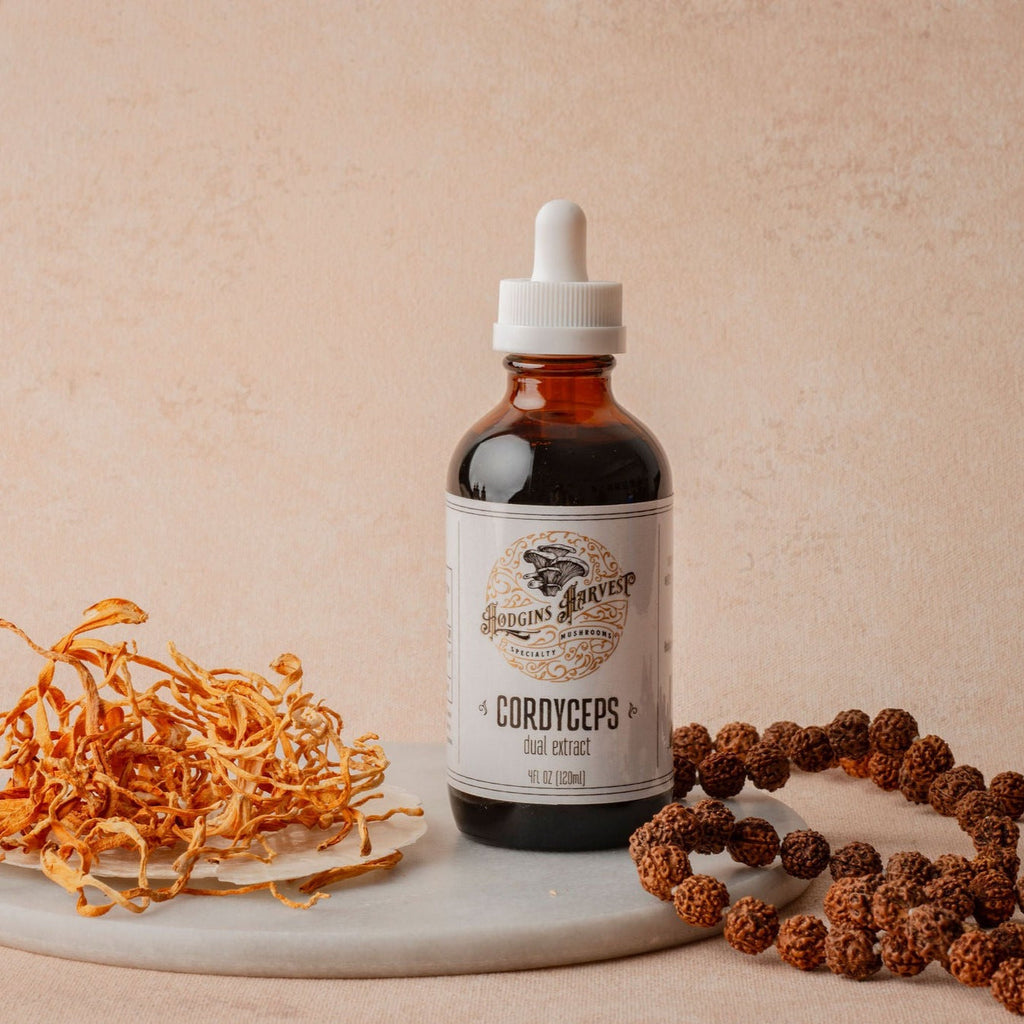 Hodgins Harvest Cordyceps Dual Extract Tincture